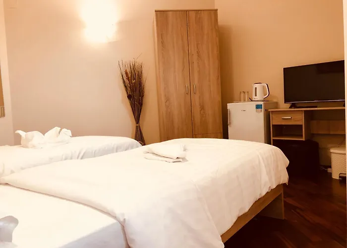 Monte Carlo Palace Hostel *